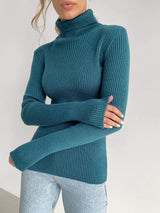Alvera - Womens Classic High Neck Sweater