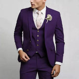 Monvierre - Mens Two Piece Suit