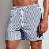 Theorien - Striped Quick Dry Swim Shorts