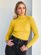 Alvera - Womens Classic High Neck Sweater
