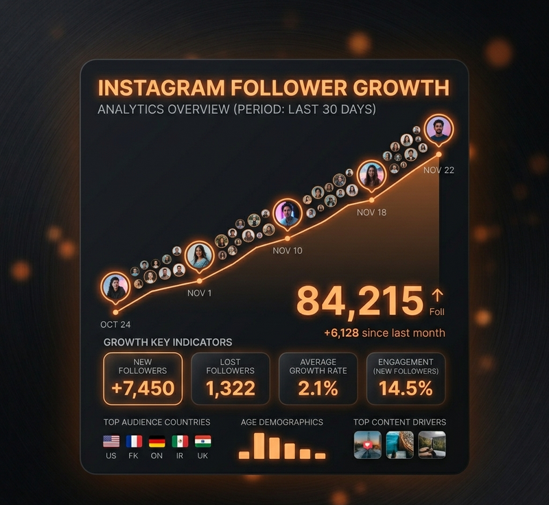Instagram Followers Flow