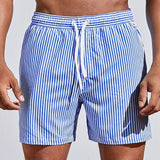 Theorien - Striped Quick Dry Swim Shorts