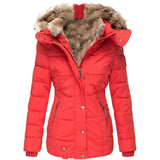 Women’s Collared Jacket - Textured Trim Design